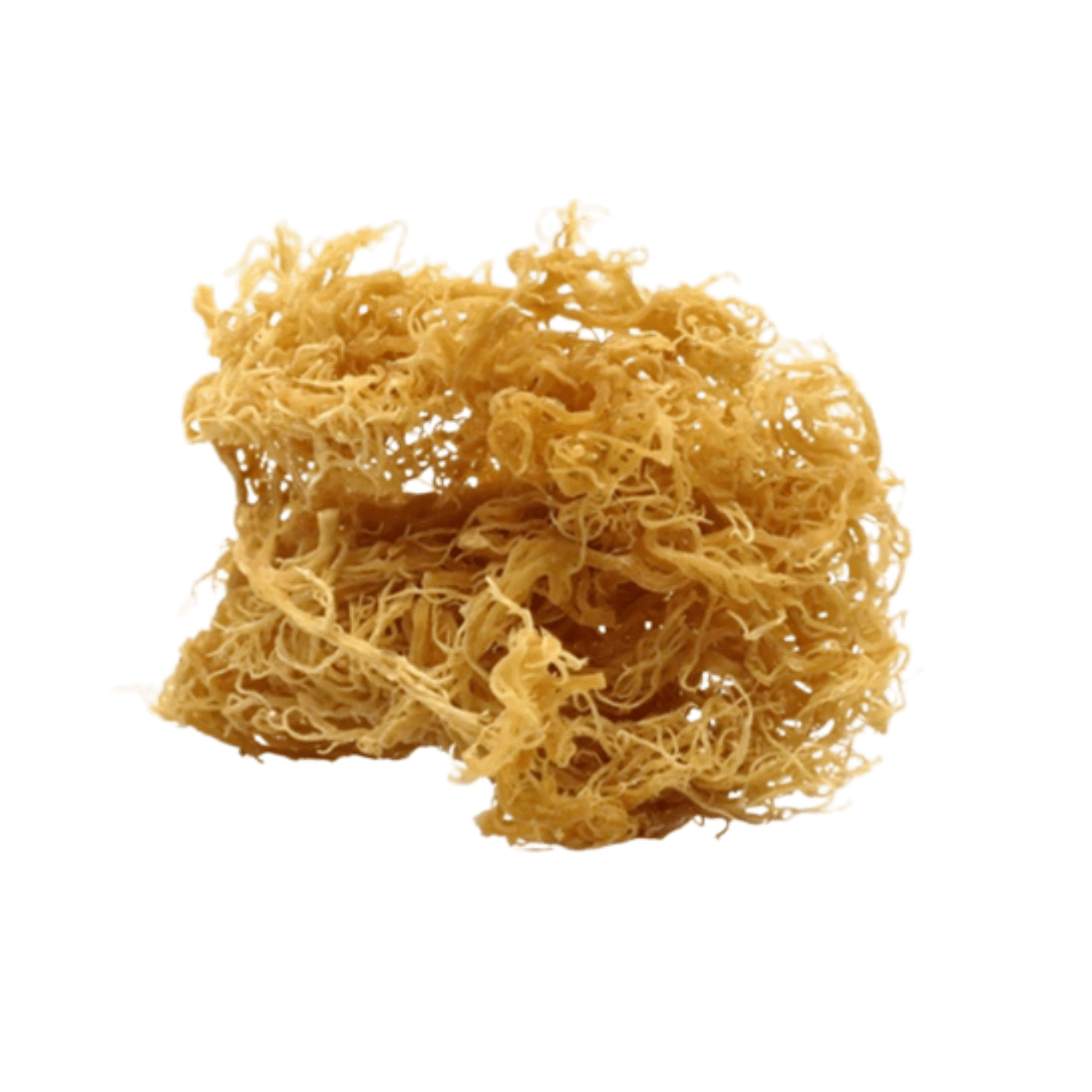Wildcrafted St. Lucian Dried Golden Sea Moss - KarmaCurrency