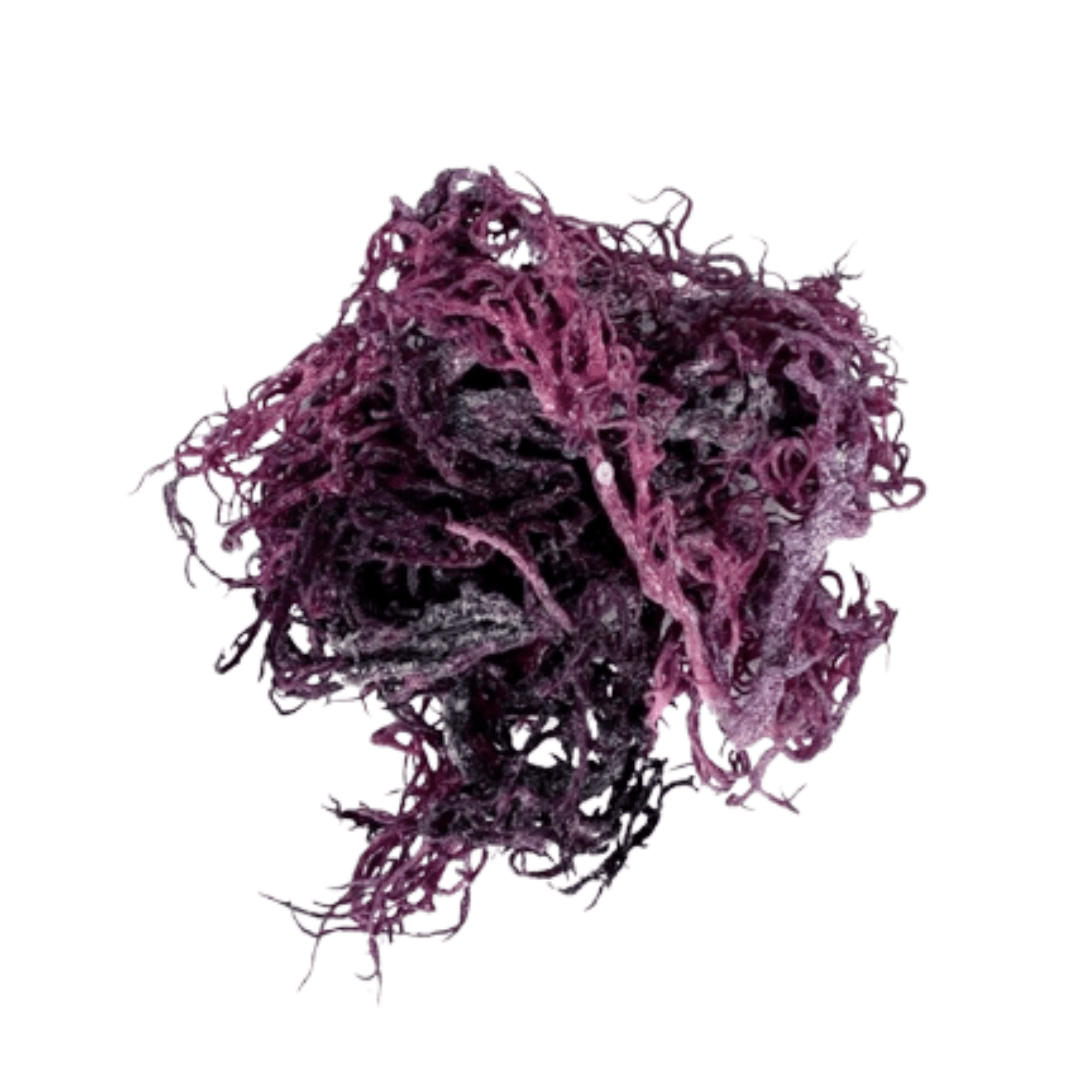 Wildcrafted St. Lucian Dried Purple Sea Moss - KarmaCurrency
